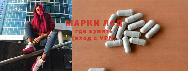 ПСИЛОЦИБИНОВЫЕ ГРИБЫ Заводоуковск