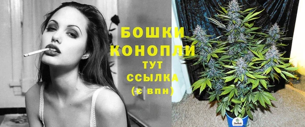 ПСИЛОЦИБИНОВЫЕ ГРИБЫ Заводоуковск