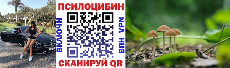 Галлюциногенные грибы Cubensis  Купить закладки  Железногорск 